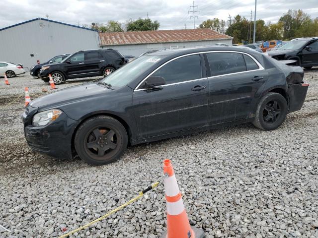 CHEVROLET MALIBU LS 2012 with VIN 1G1ZB5E06CF220180 - Photo from auction