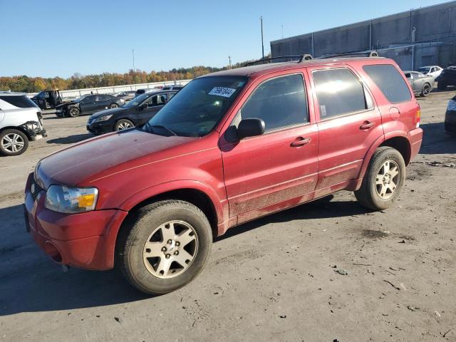 FORD ESCAPE LIM 2005 with VIN 1FMCU04165KB68236 - Photo from auction