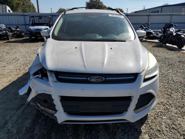 Photo 5 from auction – 2013 FORD ESCAPE SE with VIN 1FMCU0GX1DUD14299
