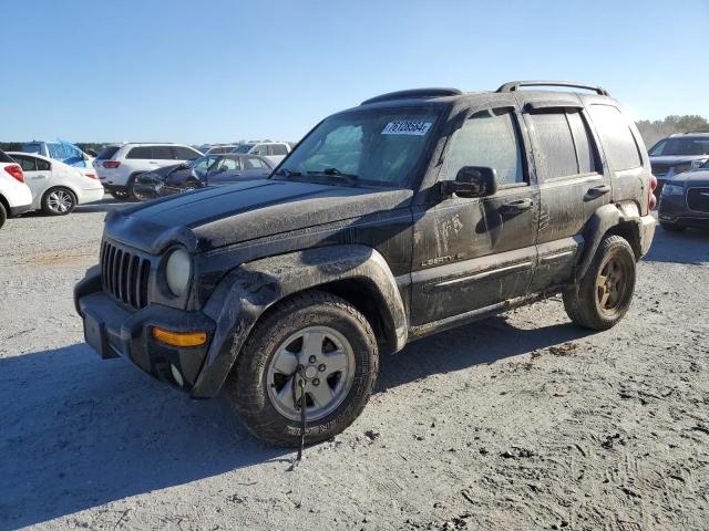 Photo 1 from auction – 2003 JEEP LIBERTY LI with VIN 1J4GL58K83W705293