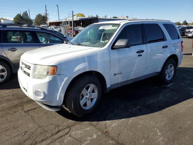 FORD ESCAPE HYB 2010 with VIN 1FMCU4K31AKD22311 - Photo from auction