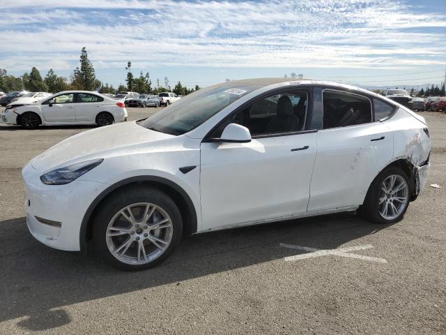 TESLA MODEL Y 2023 with VIN 7SAYGDEE0PA102937 - Photo from auction