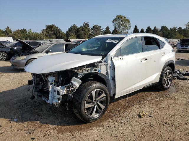 LEXUS NX 300 BAS 2018 with VIN JTJBARBZ5J2163719 - Photo from auction