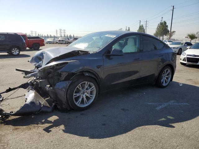 TESLA MODEL Y 2024 with VIN 7SAYGDEE5RA233073 - Photo from auction