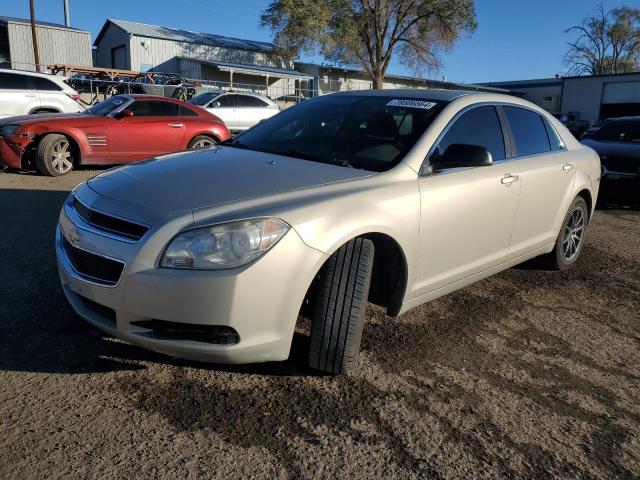 CHEVROLET MALIBU LS 2011 with VIN 1G1ZB5E14BF335206 - Photo from auction