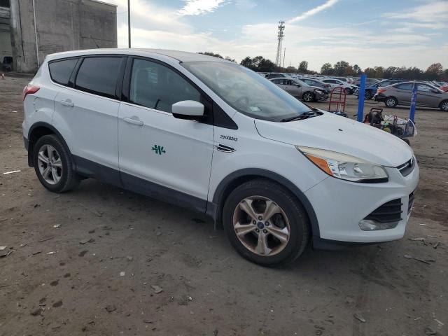 Photo 4 from auction – 2014 FORD ESCAPE SE with VIN 1FMCU0GX0EUB40968