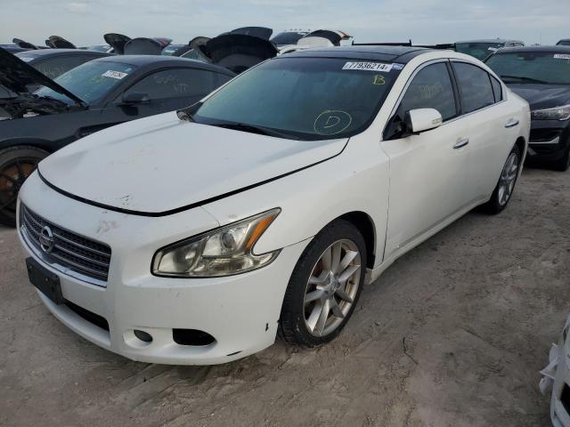 NISSAN MAXIMA S 2010 with VIN 1N4AA5AP5AC846737 - Photo from auction