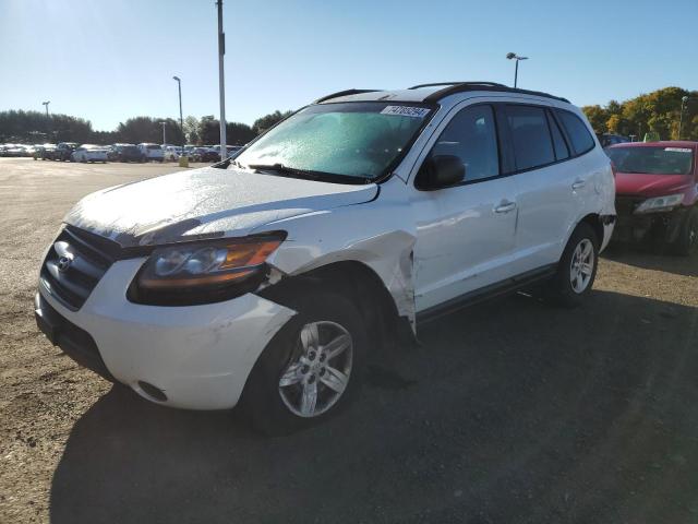 2009 Hyundai Santa Fe