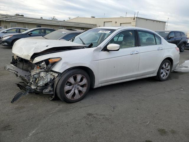 HONDA ACCORD EXL 2008 with VIN 1HGCP368X8A069907 - Photo from auction