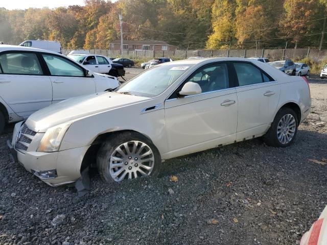 CADILLAC CTS PERFOR 2011 with VIN 1G6DL5EDXB0141150 - Photo from auction