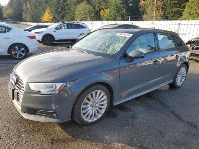 AUDI A3 E-TRON 2017 with VIN WAUUPBFF0HA079113 - Photo from auction