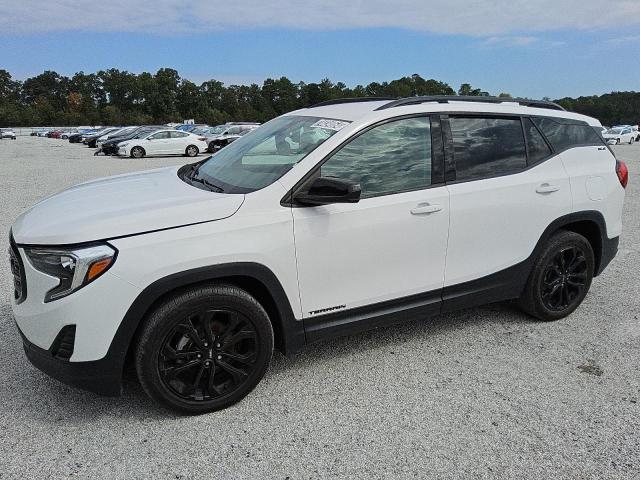 GMC TERRAIN SL 2021 with VIN 3GKALMEV6ML304907 - Photo from auction
