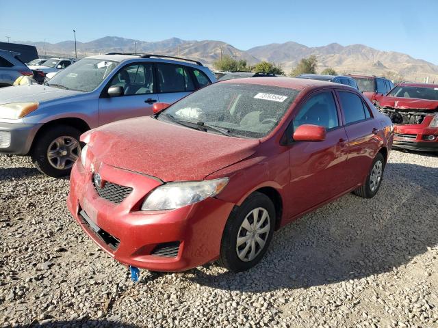 TOYOTA COROLLA BA 2009 with VIN 1NXBU40E99Z041406 - Photo from auction