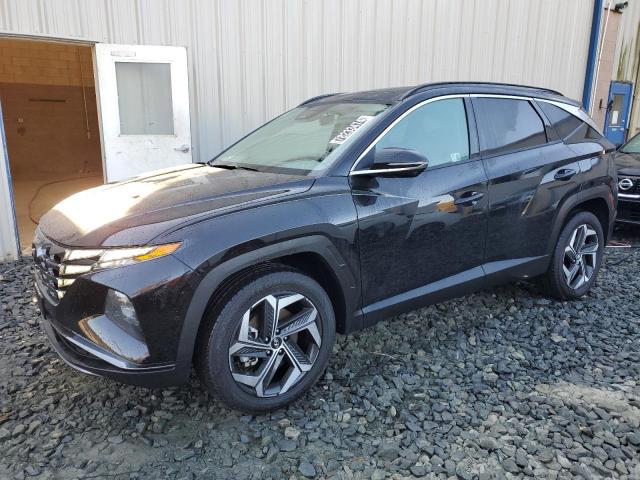 HYUNDAI TUCSON LIM 2024 with VIN 5NMJECDE2RH347534 - Photo from auction