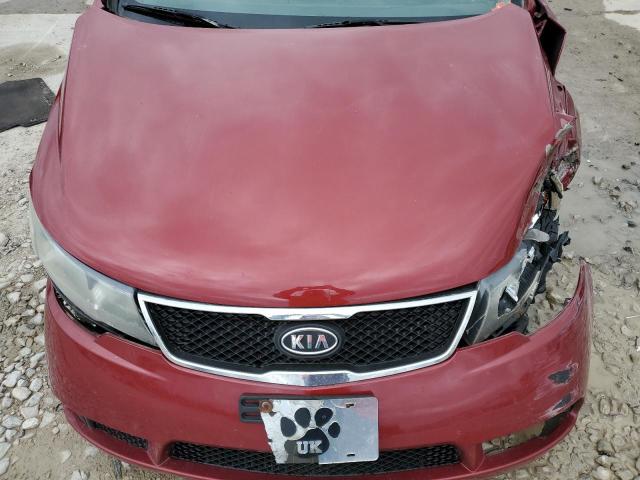Photo 11 from auction – 2010 KIA FORTE EX with VIN KNAFU4A25A5234187