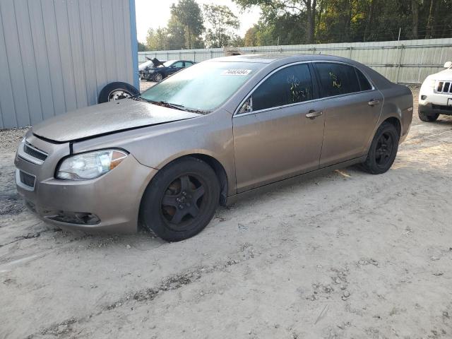 CHEVROLET MALIBU LS 2011 with VIN 1G1ZB5E18BF116054 - Photo from auction