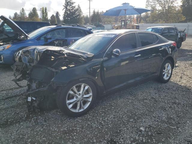 KIA OPTIMA EX 2012 with VIN 5XXGN4A71CG031649 - Photo from auction