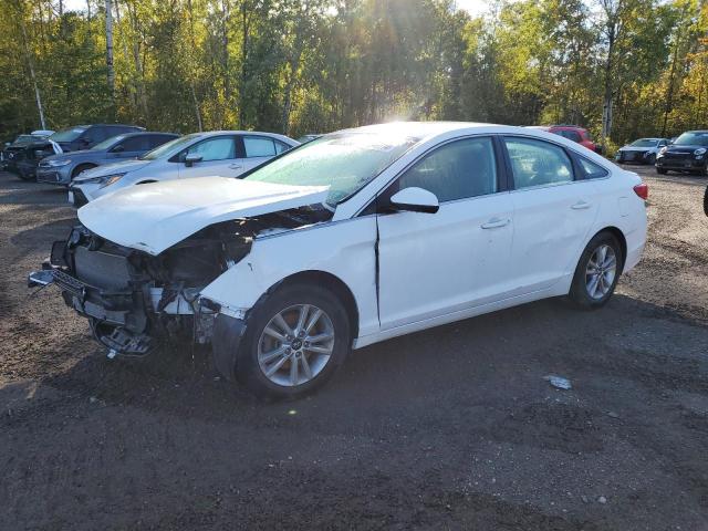 HYUNDAI SONATA SE 2016 with VIN 5NPE24AF0GH324606 - Photo from auction