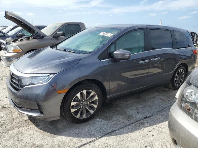 HONDA ODYSSEY EX 2024 with VIN 5FNRL6H67RB054100 - Photo from auction
