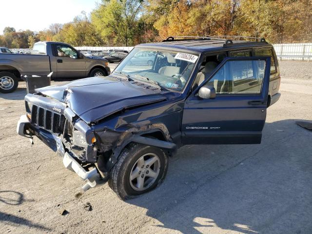 JEEP CHEROKEE S 2001 with VIN 1J4FF48S31L607994 - Photo from auction