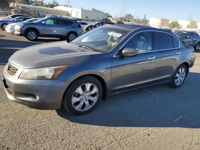 HONDA ACCORD EXL 2010 with VIN 1HGCP3F84AA024371 - Photo from auction