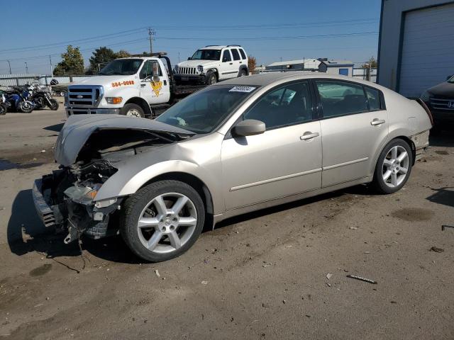 NISSAN MAXIMA 2006 с VIN 1N4BA41E56C843891 - Фото с аукциона