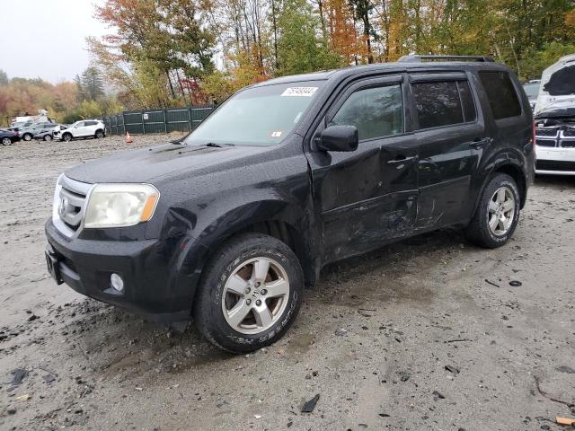 HONDA PILOT EX 2011 with VIN 5FNYF4H43BB046555 - Photo from auction
