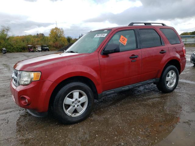 FORD ESCAPE XLT 2011 with VIN 1FMCU0D7XBKA21157 - Photo from auction