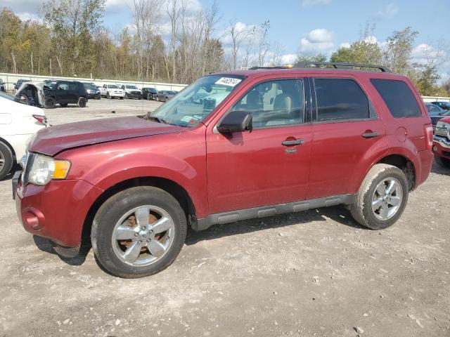 FORD ESCAPE XLT 2012 with VIN 1FMCU0DG4CKA21060 - Photo from auction