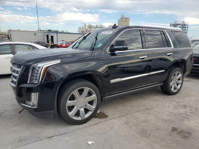 CADILLAC ESCALADE P 2019 with VIN 1GYS3CKJ2KR123119 - Photo from auction