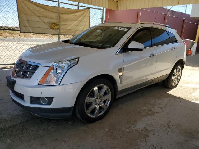 CADILLAC SRX PREMIU 2010 with VIN 3GYFNCEY9AS621446 - Photo from auction
