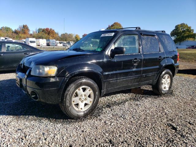 FORD ESCAPE LIM 2007 مع رقم تعريف المركبة 1FMCU94137KA34825 - صورة من المزاد