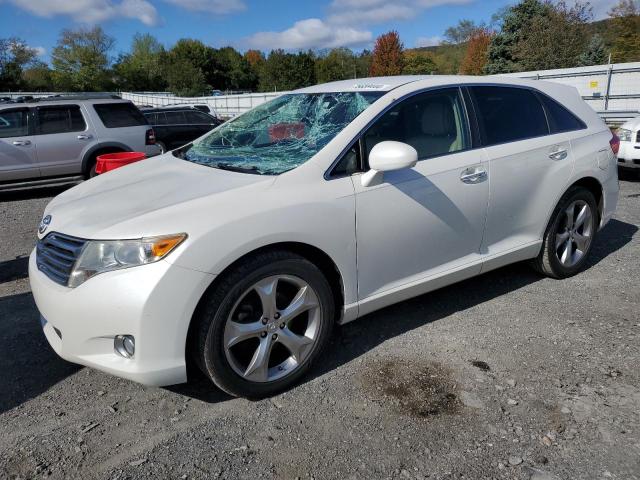 TOYOTA VENZA 2010 with VIN 4T3BK3BB8AU039581 - Photo from auction