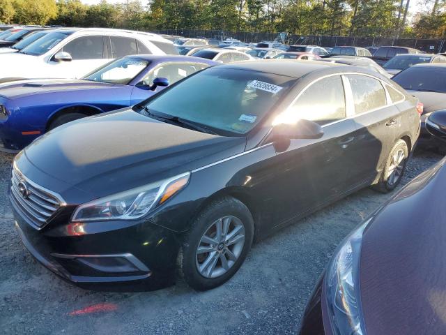 HYUNDAI SONATA SE 2016 with VIN 5NPE24AF9GH305925 - Photo from auction