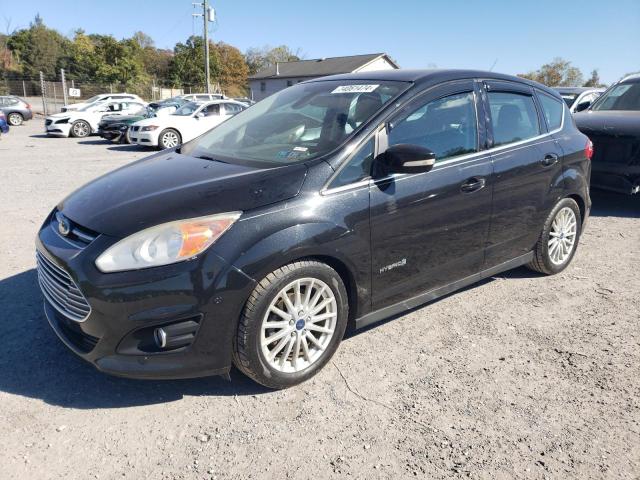 FORD C-MAX SEL 2013 with VIN 1FADP5BU5DL550573 - Photo from auction
