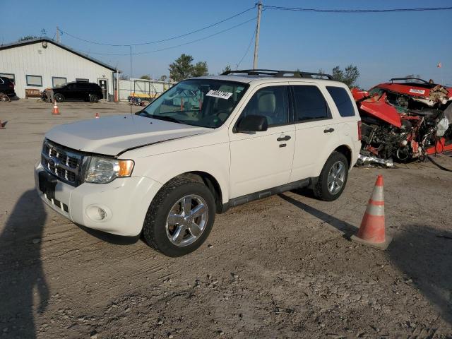 FORD ESCAPE XLT 2010 with VIN 1FMCU9DG9AKA79716 - Photo from auction