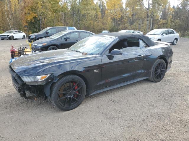 FORD MUSTANG GT 2016 with VIN 1FATP8FF4G5324929 - Photo from auction
