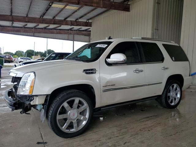 CADILLAC ESCALADE P 2011 with VIN 1GYS3CEF6BR260698 - Photo from auction