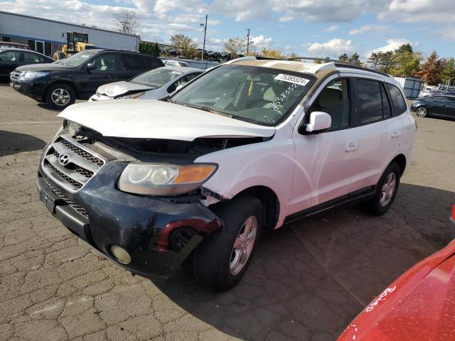 HYUNDAI SANTA FE G 2007 with VIN 5NMSG73D17H003169 - Photo from auction
