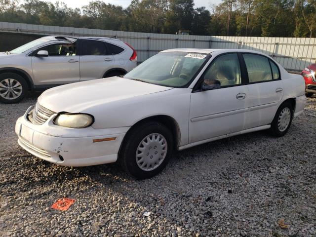 CHEVROLET MALIBU 2003 with VIN 1G1ND52J13M578496 - Photo from auction