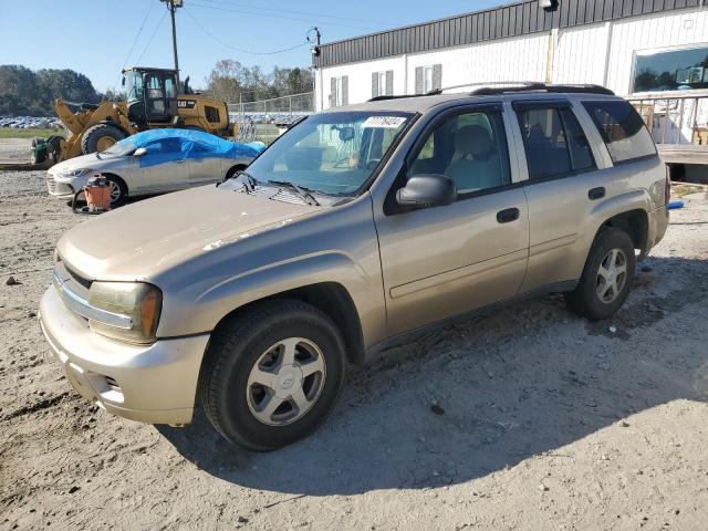 CHEVROLET TRAILBLAZE 2006 with VIN 1GNDS13S062283891 - Photo from auction