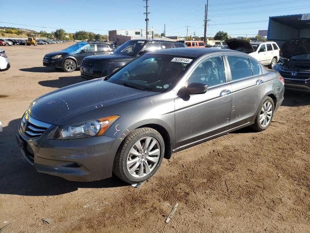 HONDA ACCORD EXL 2011 with VIN 1HGCP3F85BA020315 - Photo from auction