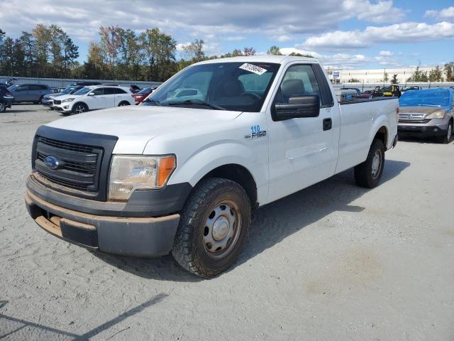 FORD F150 2014 with VIN 1FTMF1CM8EKD69527 - Photo from auction