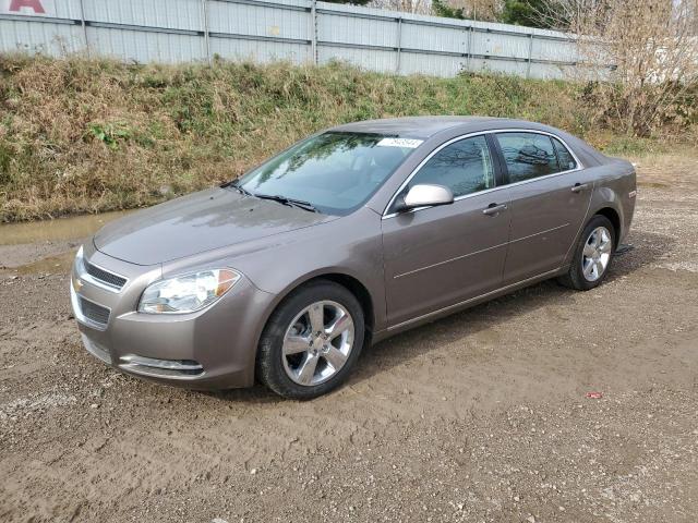 CHEVROLET MALIBU 2LT 2010 with VIN 1G1ZD5EB4AF317970 - Photo from auction
