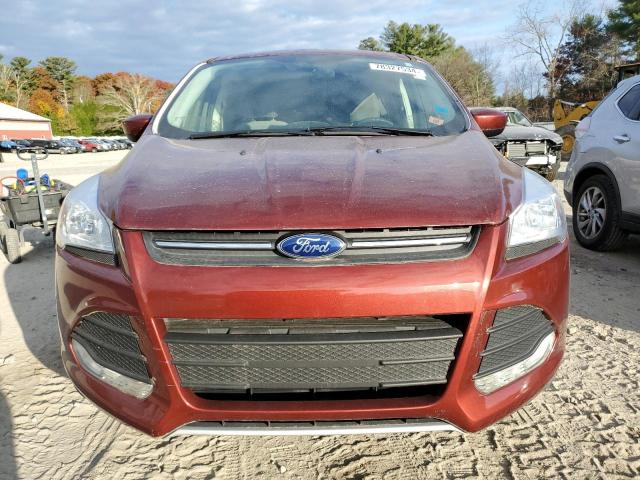 Photo 5 from auction – 2014 FORD ESCAPE SE with VIN 1FMCU0GX5EUB81287