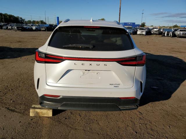 Photo 6 from auction – 2022 LEXUS NX 250 with VIN 2T2GDCEZ0NC001511