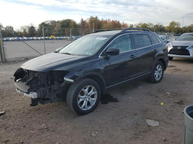 MAZDA CX-9 2011 with VIN JM3TB3CV3B0326756 - Photo from auction