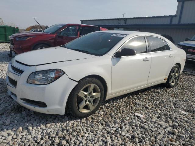 CHEVROLET MALIBU LS 2012 with VIN 1G1ZA5E07CF347054 - Photo from auction