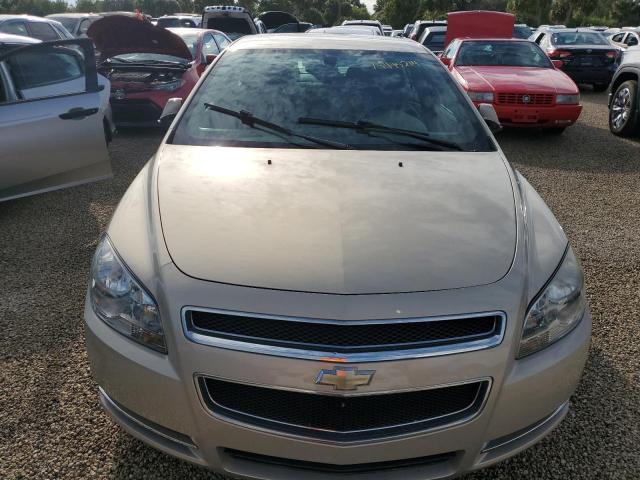 Photo 5 from auction – 2009 CHEVROLET MALIBU 1LT with VIN 1G1ZH57B594131069