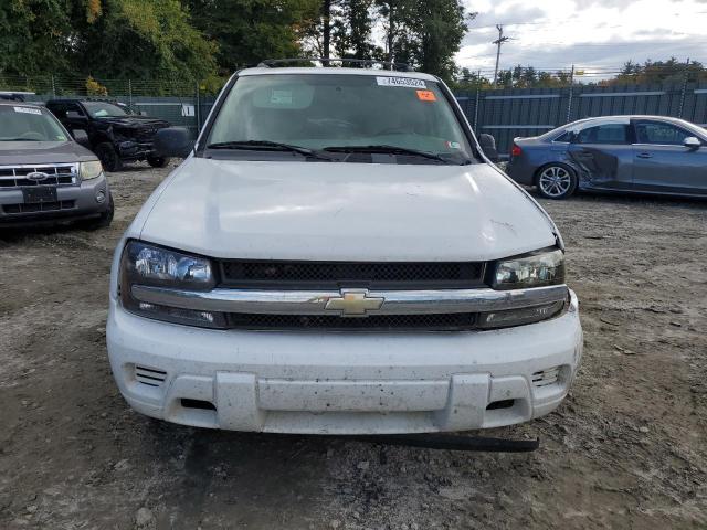 Photo 5 from auction – 2008 CHEVROLET TRAILBLAZE with VIN 1GNDT13S182195738